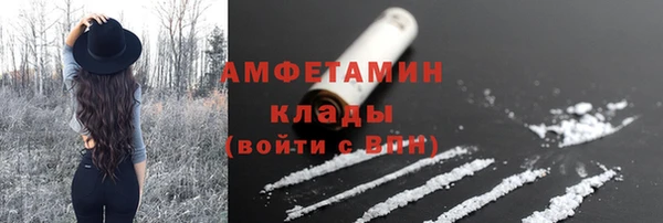 мяу мяу мука Аркадак
