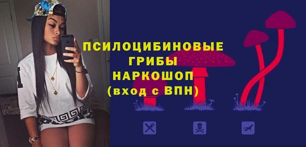 мяу мяу мука Аркадак