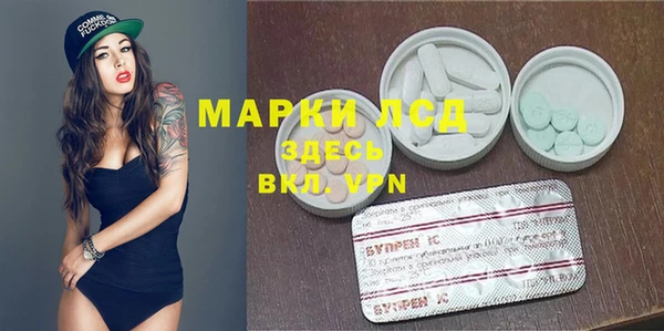 мяу мяу мука Аркадак