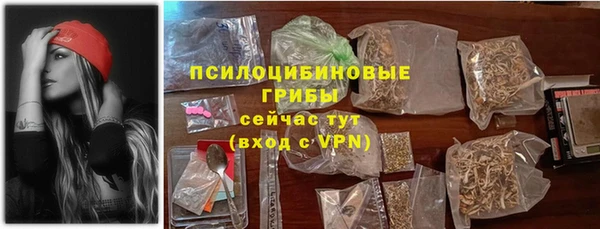 мяу мяу мука Аркадак