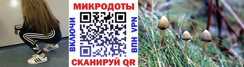 Псилоцибиновые грибы ЛСД Саки