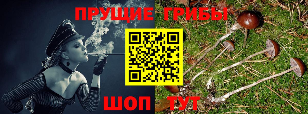 Саки  Галлюциногенные грибы прущие грибы  Вход с VPN 